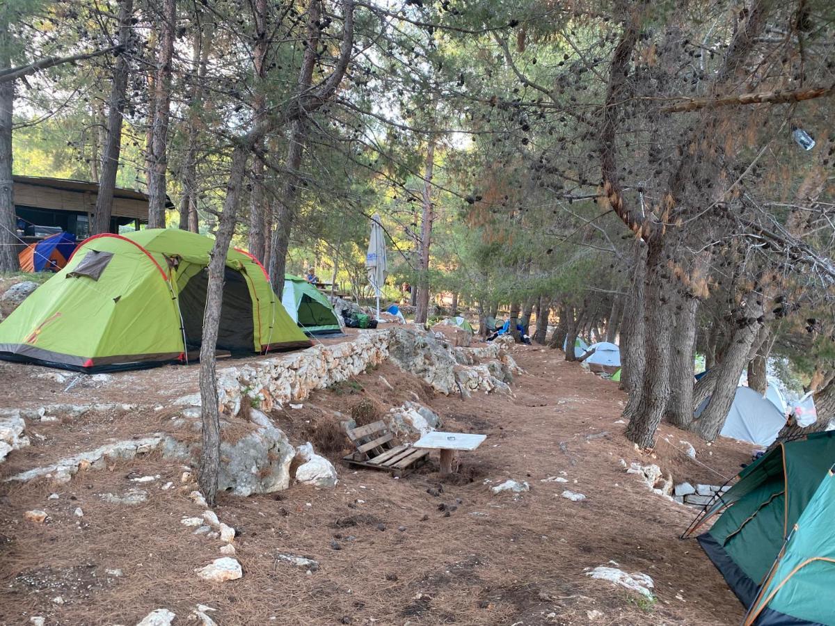 Pine Side Camp 호텔 히마레 외부 사진